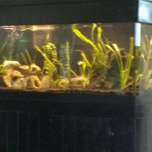 Meet your Posher, Kenneth